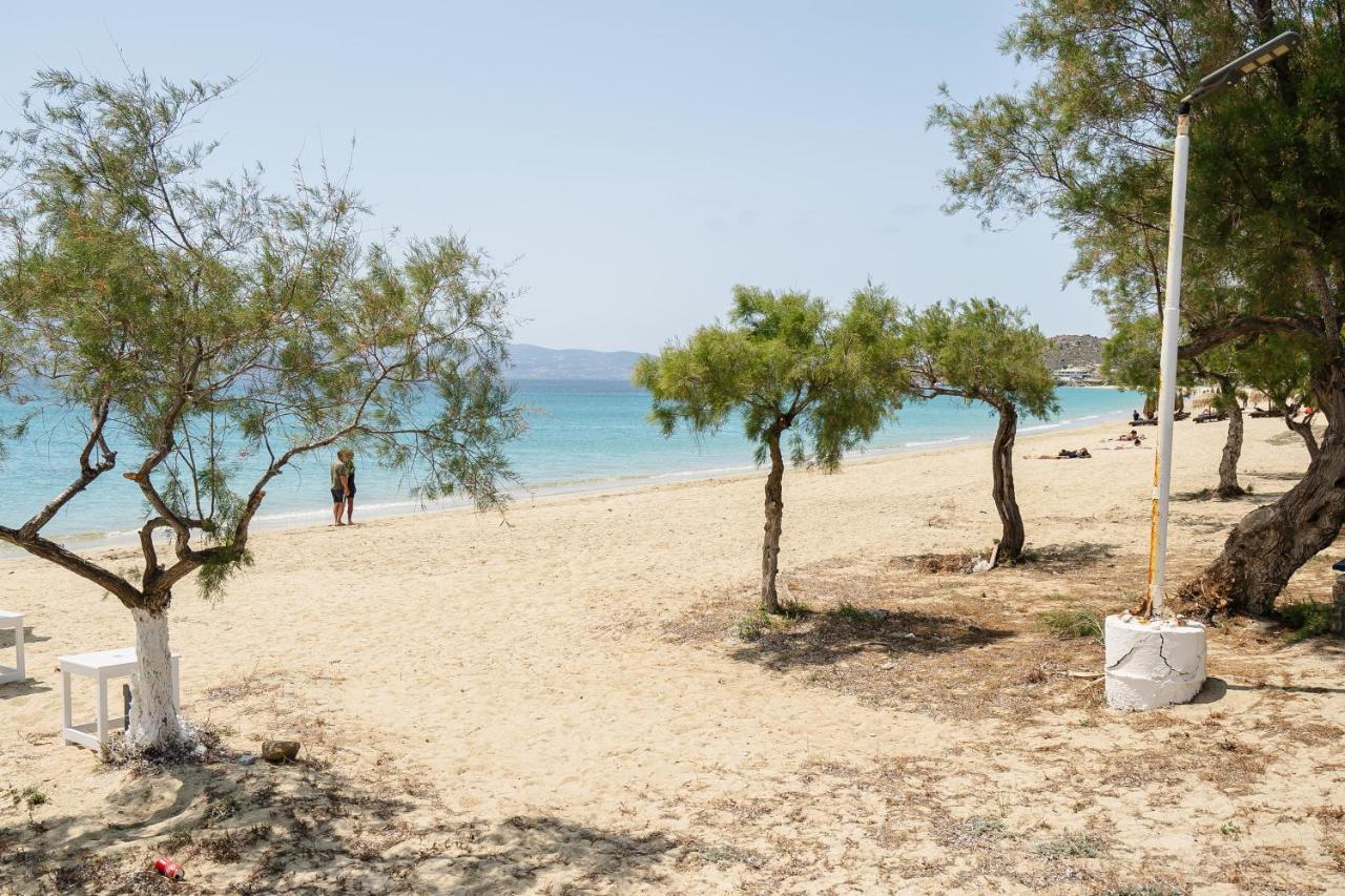 Flerianos Studios Naxos Agios Prokopios  Exterior foto